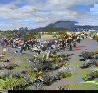 Hobart Showground Sunday Market - Weekly - Accommodation Melbourne