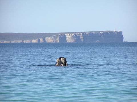 Jervis Bay's Sydney To Hobart Experience - Accommodation Melbourne 0