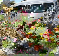 Johns River Country Markets - Accommodation Melbourne