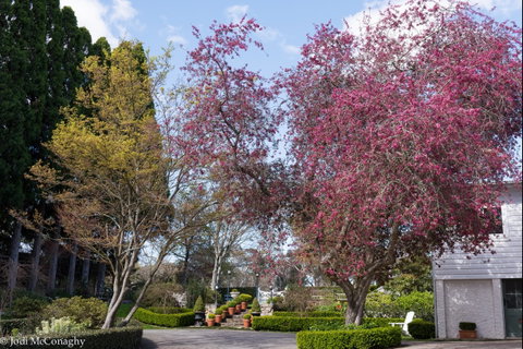 Leura Gardens Festival - Cancelled - Accommodation Melbourne 0