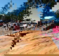 Maleny Wood Expo From Seed to Fine Furniture - Accommodation Melbourne