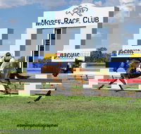 Moree Race Club TAB Race Day - Accommodation Melbourne