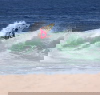 Mothernest Great Lakes Pro