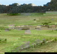 Mount Gambier and District Pony Club Horse Trials 2020 - Accommodation Melbourne