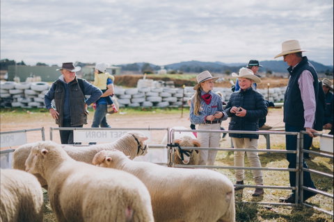 Mudgee Small Farm Field Days - Accommodation Melbourne 0
