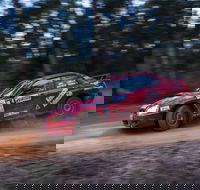 Narooma Forest Rally - Accommodation Melbourne