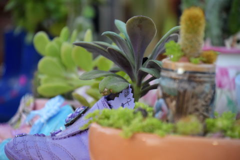 QCWA Sunday Markets Charters Towers - Accommodation Melbourne 2