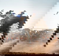 Rodeo by the Sea - Streaky Bay - Accommodation Melbourne