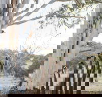 Sculptures in the Garden - Accommodation Melbourne