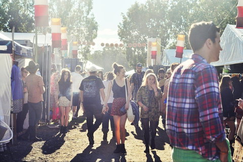 Splendour In The Grass - Accommodation Melbourne 1