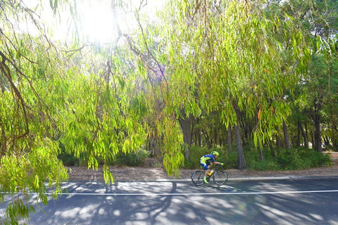 SunSmart FunMan Triathlon - Accommodation Melbourne 0