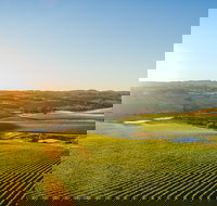 Wine and Food at Altitude - Accommodation Melbourne