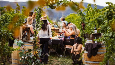 Wine Machine - NEW DATE - Accommodation Melbourne 1