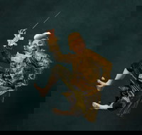 Wolfgangs Magical Musical Circus - Accommodation Melbourne