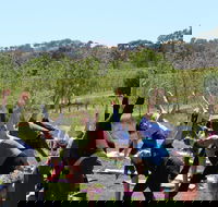 Yoga in the Vines - Accommodation Melbourne