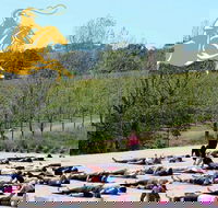 Yoga in the Vines - Accommodation Melbourne