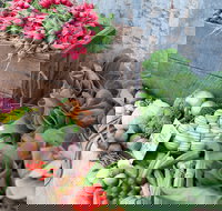 Ma Ma Creek Markets - Accommodation Melbourne