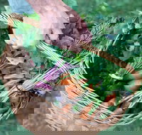 Orange Farmers Market - Accommodation Melbourne