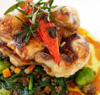 Stella Italian Kitchen  Pizzeria - Accommodation Melbourne