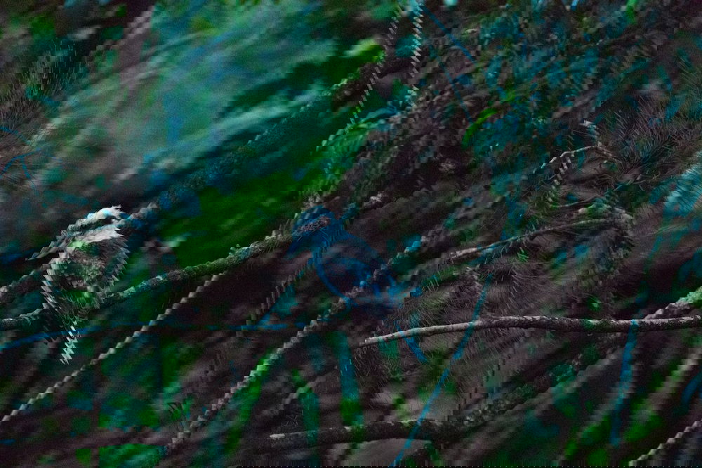  Accommodation Melbourne