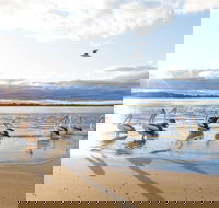 El Paso Motor Inn - Accommodation Melbourne