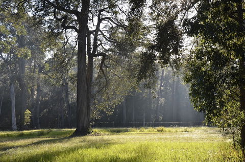 Worrowing Jervis Bay - Accommodation Melbourne 3