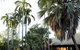Contour Hotel Katherine - thumb 2