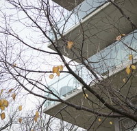 The Sebel Launceston - Accommodation Melbourne