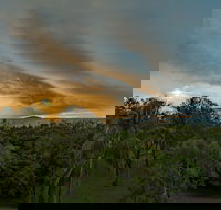 Ocean International - Accommodation Melbourne