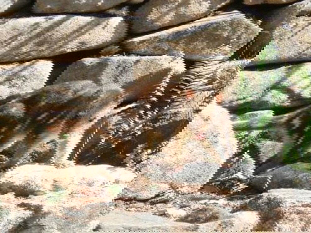  Accommodation Melbourne