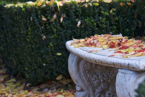 Lynrose Place - Accommodation Melbourne 5
