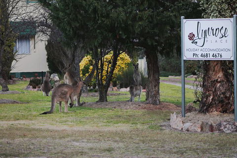Lynrose Place - Accommodation Melbourne 7