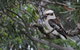 Waterfront Jervis Bay Escape Cooinda - thumb 4