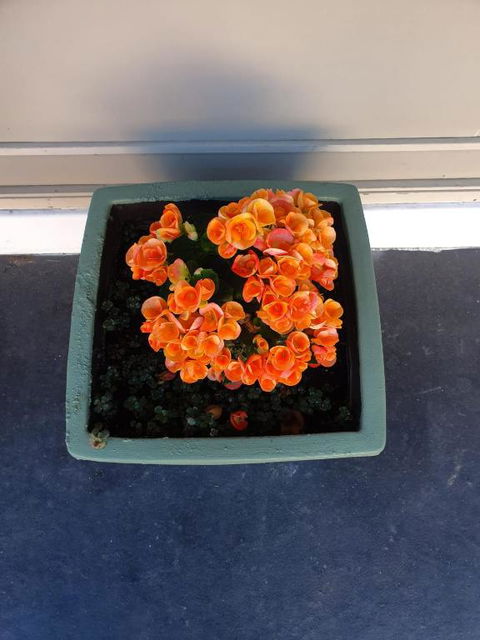 Parkside Motel Morwell - Accommodation Melbourne 6