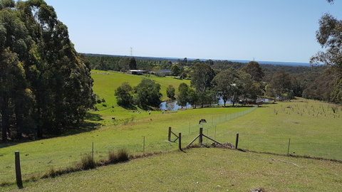 Blueberry Hills On Comleroy - Accommodation Melbourne 4