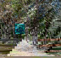 Blueberry Hills On Comleroy - Accommodation Melbourne