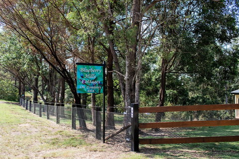 Blueberry Hills On Comleroy - Accommodation Melbourne 0