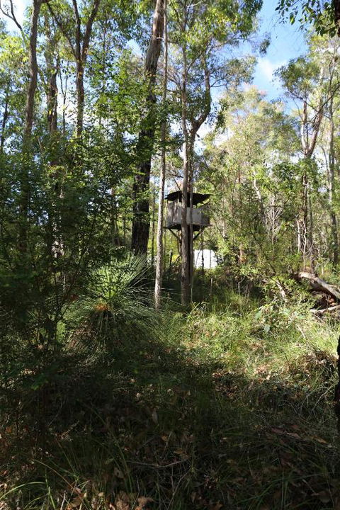 Nannup Bush Retreat - Accommodation Melbourne 2