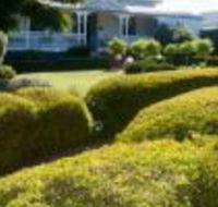 Whiskey Gully Wines - Accommodation Melbourne