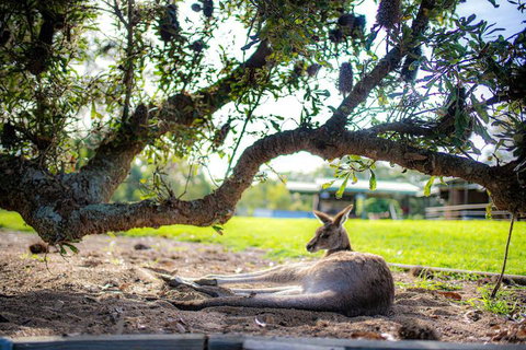 Waterfall Springs Retreat And Wildlife Sanctuary - Accommodation Melbourne 5