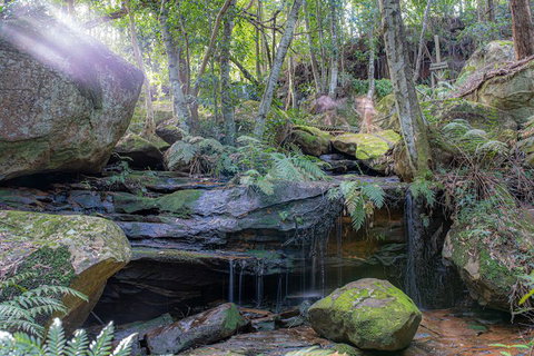 Waterfall Springs Retreat And Wildlife Sanctuary - Accommodation Melbourne 3