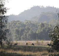 Dacelo - Accommodation Melbourne