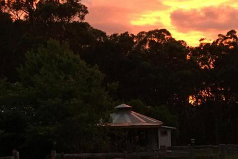 Ionaforest Yurt & Shepherds Hut - Accommodation Melbourne 4