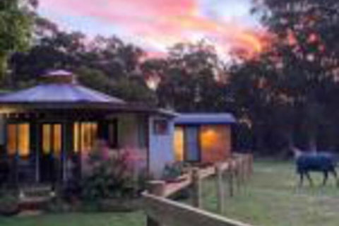 Ionaforest Yurt & Shepherds Hut - Accommodation Melbourne 0