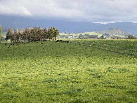 Belle Cottage - Accommodation Melbourne 6