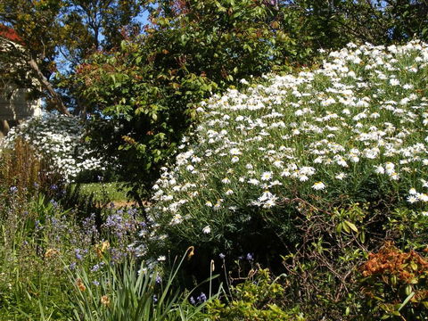 Belle Cottage - Accommodation Melbourne 2