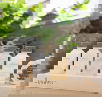 Boutique Stays - Caulfield Central - Accommodation Melbourne