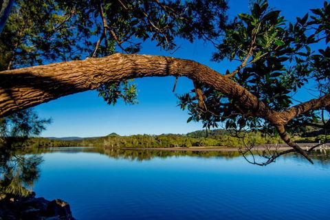 Reflections Holiday Parks Ferry Reserve - Accommodation Melbourne 4
