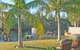 The Oasis On Jacobs Drive - thumb 0