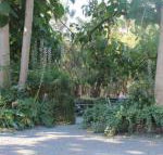 Avoca Park